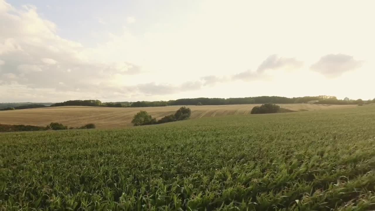 Download Stock Video Farmland During The Summer Months Live Wallpaper For PC