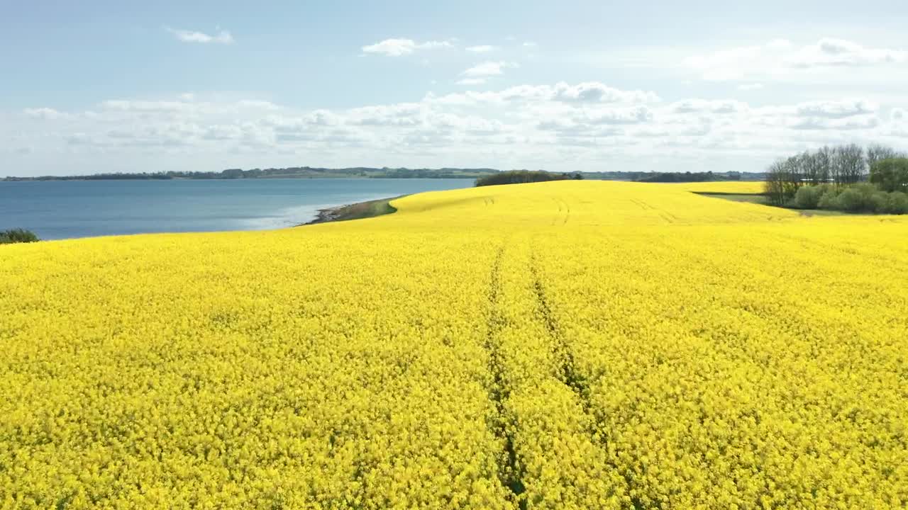 Download Stock Video Farmland By The Ocean Live Wallpaper For PC