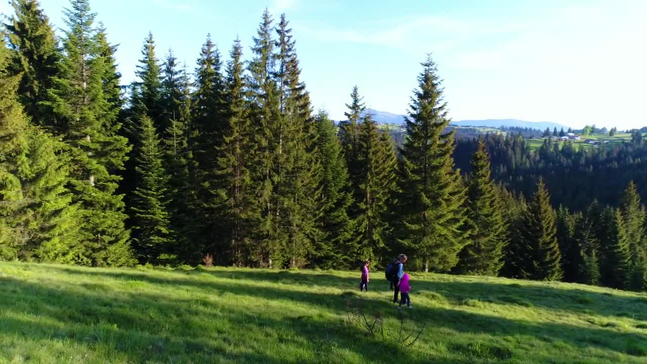 Download Stock Video Family Taking A Walk In The Meadow Next To The Live Wallpaper For PC