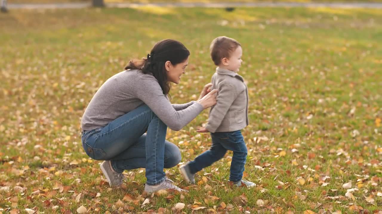 Download Stock Video Family Spending Time Together In The Park Live Wallpaper For PC