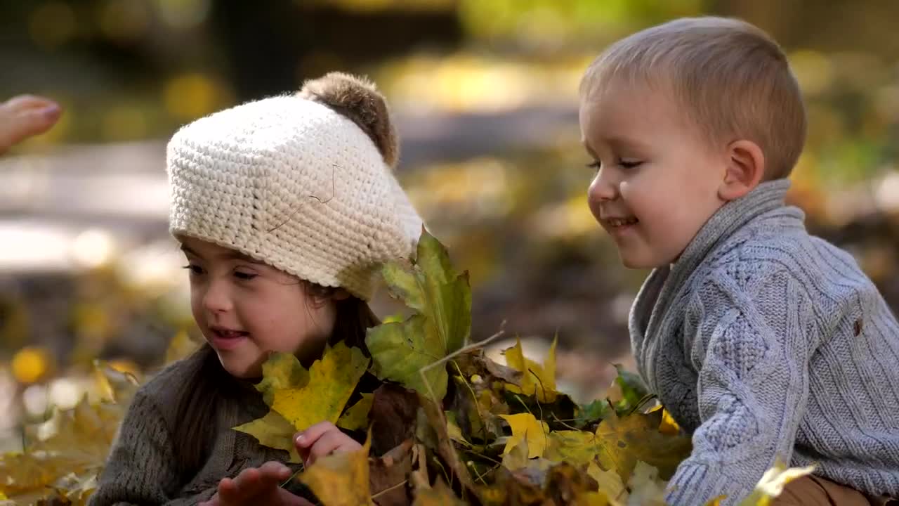 Download Stock Video Family Playing In The Autumn Leaves Live Wallpaper For PC