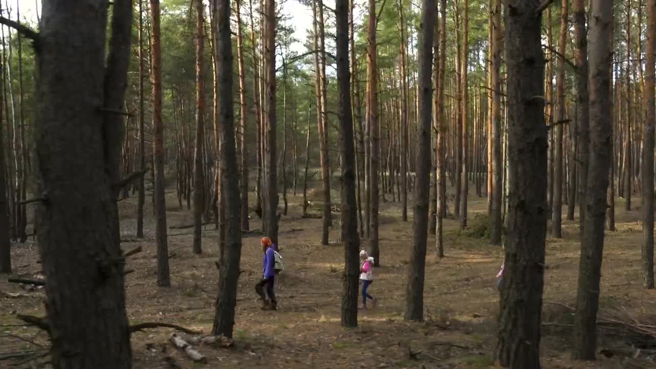 Download Stock Video Family Hiking Through The Forest Live Wallpaper For PC