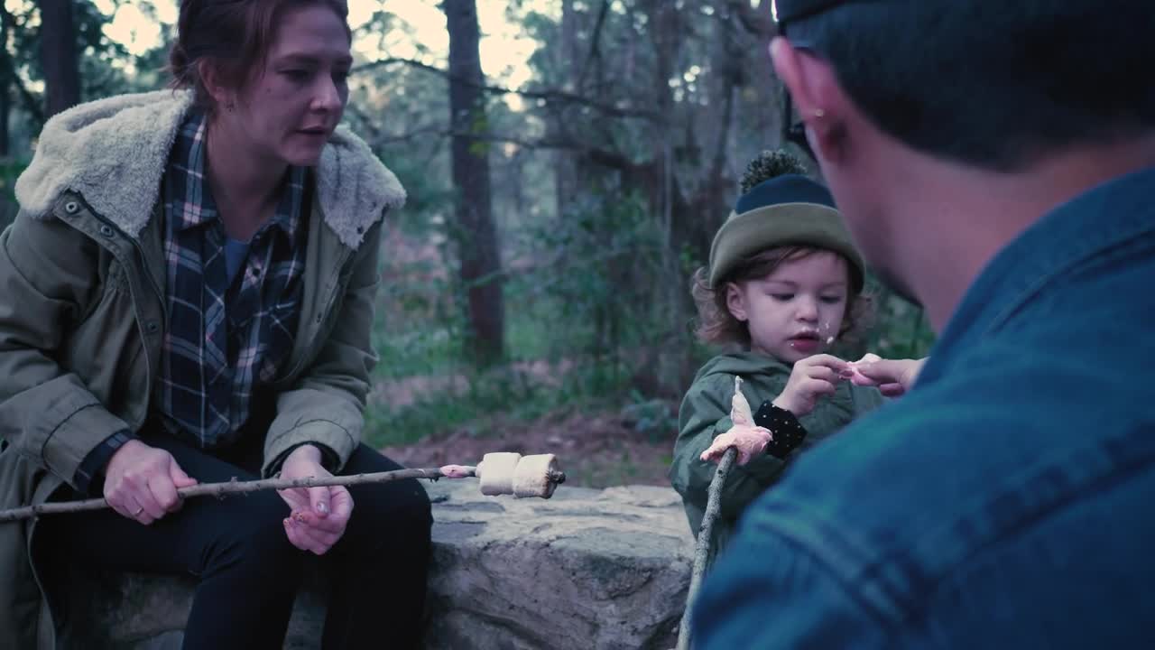 Download Stock Video Family Eating Roasted Marshmallows In A Forest Live Wallpaper For PC