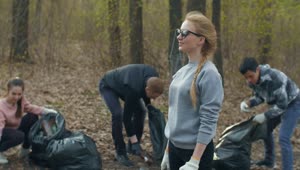 Download Stock Video Group Of People Collecting Garbage From The Forest Live Wallpaper For PC