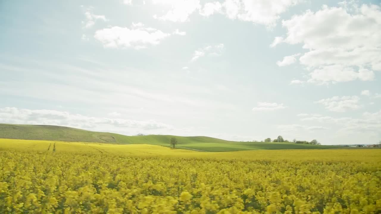 Download Stock Video Green Hills Behind A Crop Field Live Wallpaper For PC