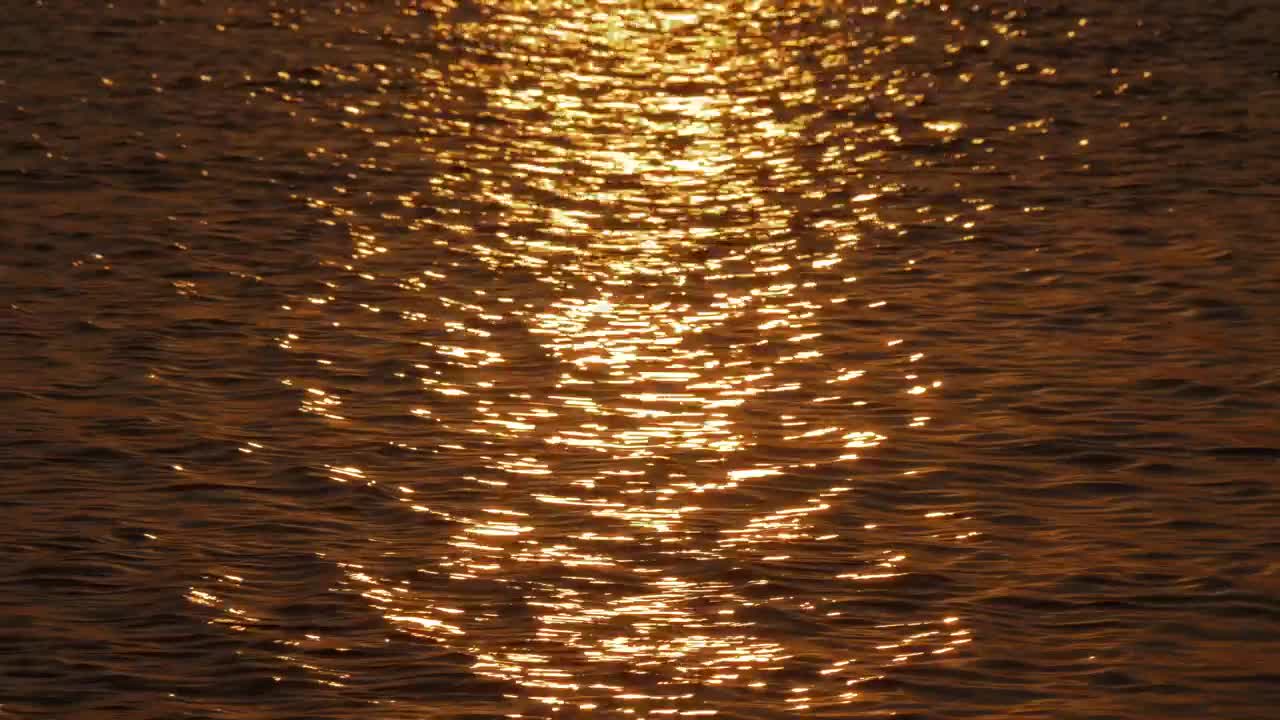 Download Stock Video Golden Sunshine Reflecting In The Bay Live Wallpaper For PC