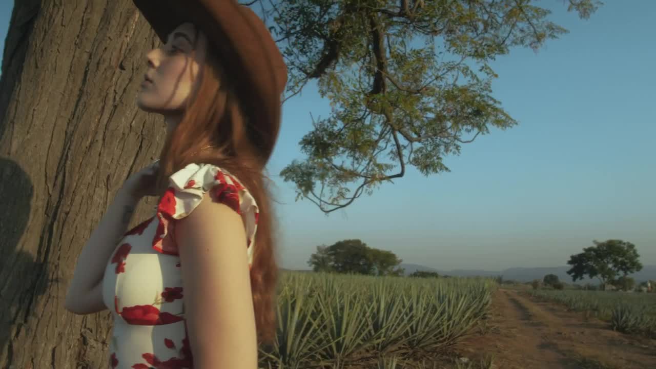 Download Stock Video Girl With Mexican Style Posing In A Maguey Field Live Wallpaper For PC