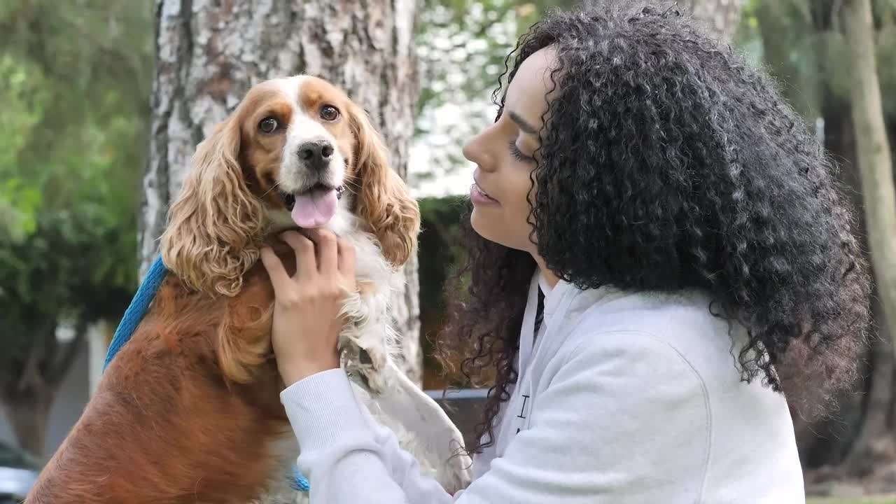 Download Stock Video Girl In A Park Carrying And Petting Her Cocker Spaniel Live Wallpaper For PC