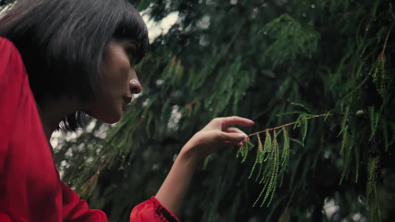 Download Stock Video Girl Gently Touching The Branches Of A Pine Tree In Live Wallpaper For PC