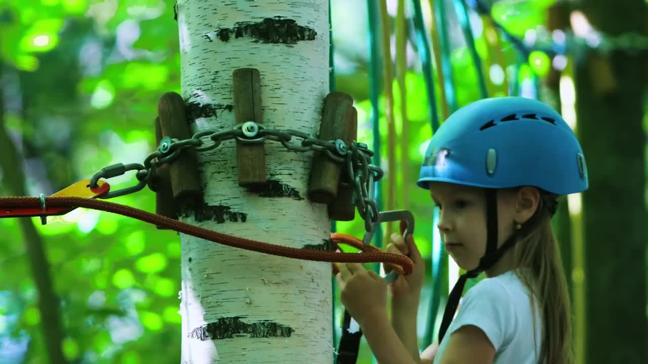 Download Stock Video Girl Fastened To A Harness Crosses A Forest Live Wallpaper For PC