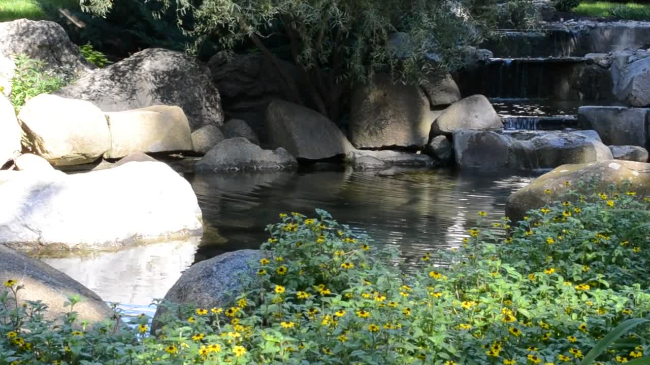 Download Stock Video Gentle Stream In A Public Garden Live Wallpaper For PC