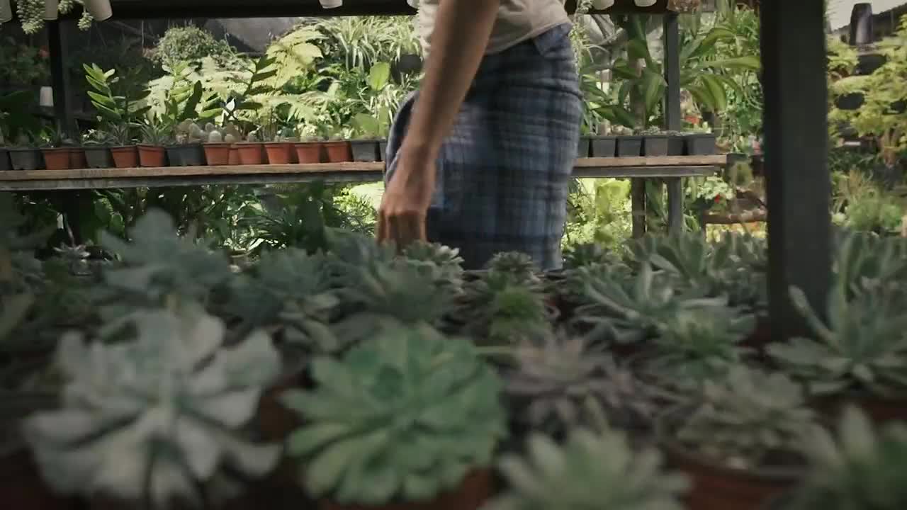 Download Stock Video Gardener Kneels In Front Of Potted Plants Live Wallpaper For PC