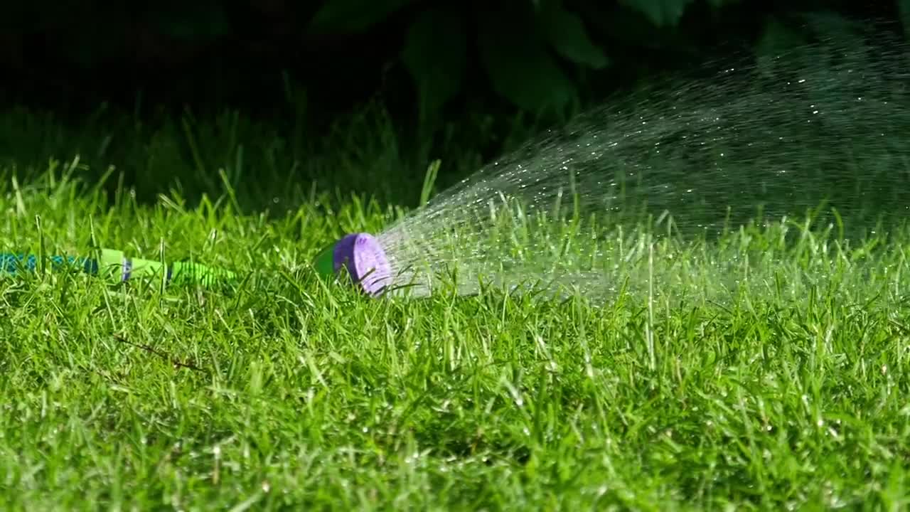 Download Stock Video Garden Spraywer On The Grass Live Wallpaper For PC