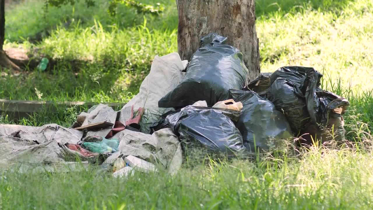 Download Stock Video Garbage Piled Up At The Base Of A Tree In Live Wallpaper For PC