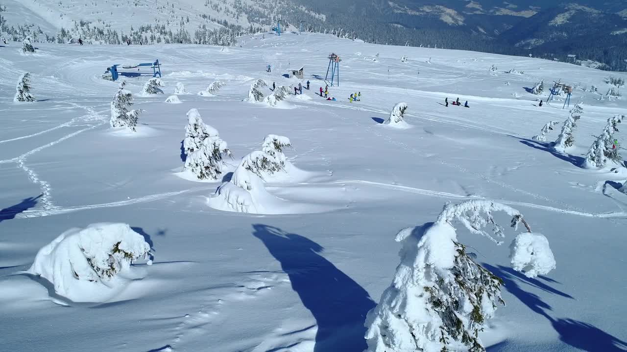 Download Stock Video Frozen Pine Trees Filled With Snow Near A Ski Area Live Wallpaper For PC