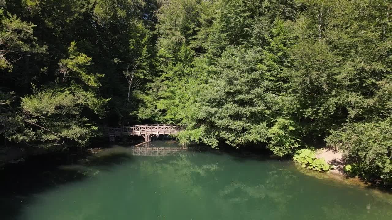 Download Stock Video Lake In A National Park In A Sunny Day Animated Wallpaper