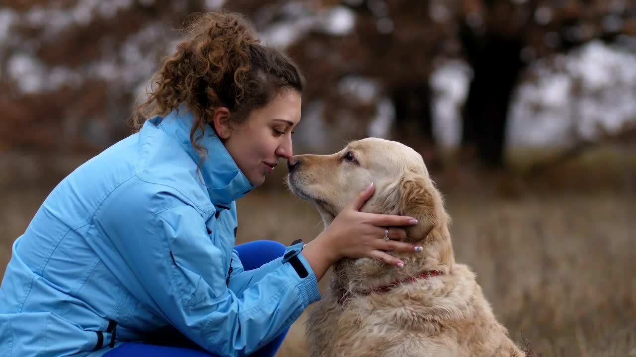 Download Stock Video Labrador Licks His Owner Animated Wallpaper