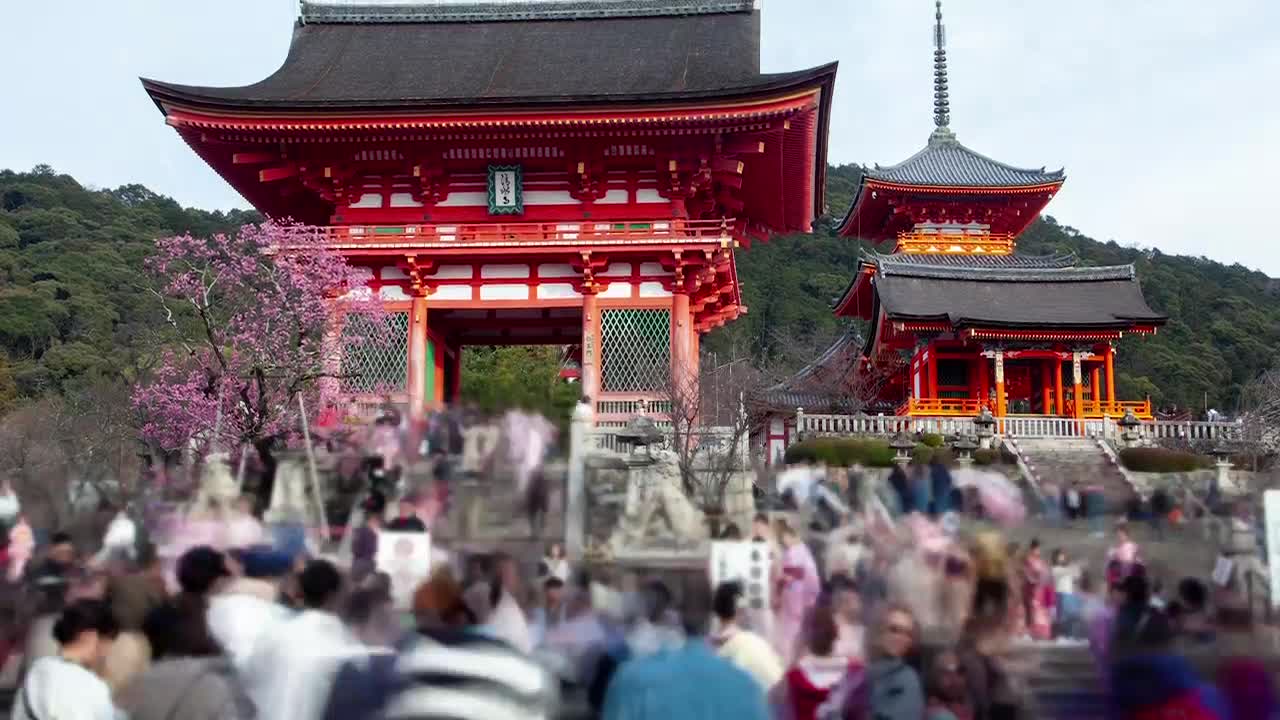 Download Stock Video Kyoto Historic Temple With Tourism Animated Wallpaper