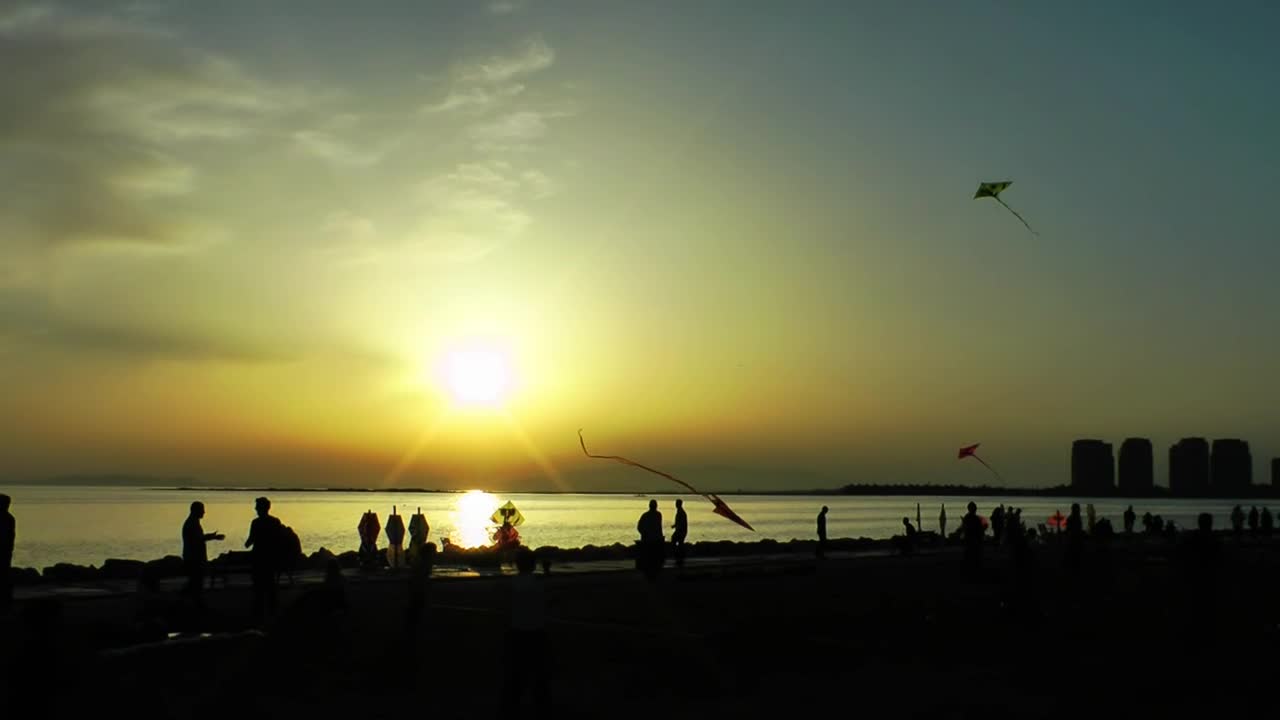 Download Stock Video Kites On The Beach At Sunset Animated Wallpaper