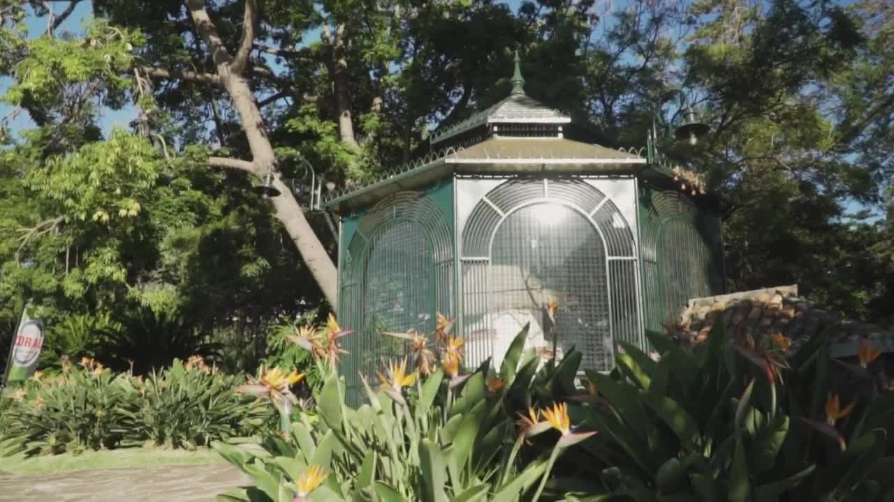 Download Stock Video Kiosk In A Garden Animated Wallpaper