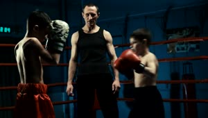 Download Stock Video Kids Training Boxing In The Gym Animated Wallpaper