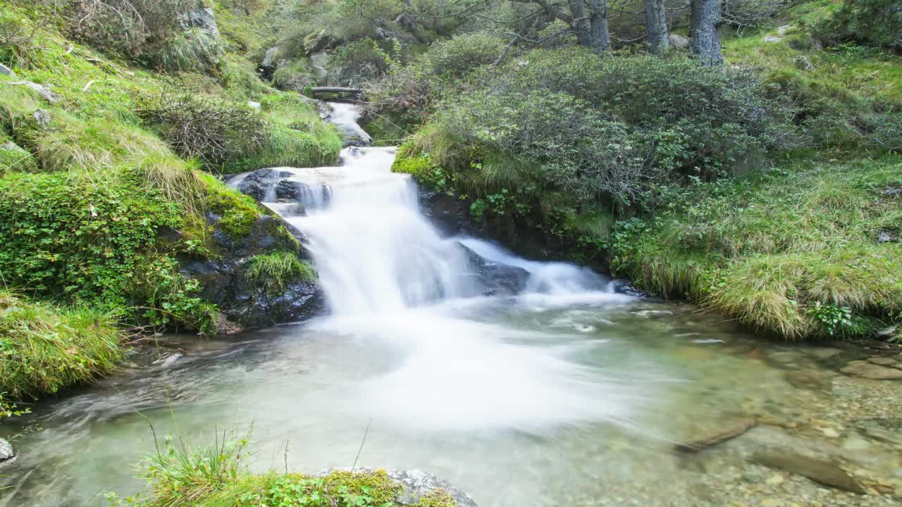 Download Stock Video Hyperlapse Of A Stream In The Woods Animated Wallpaper