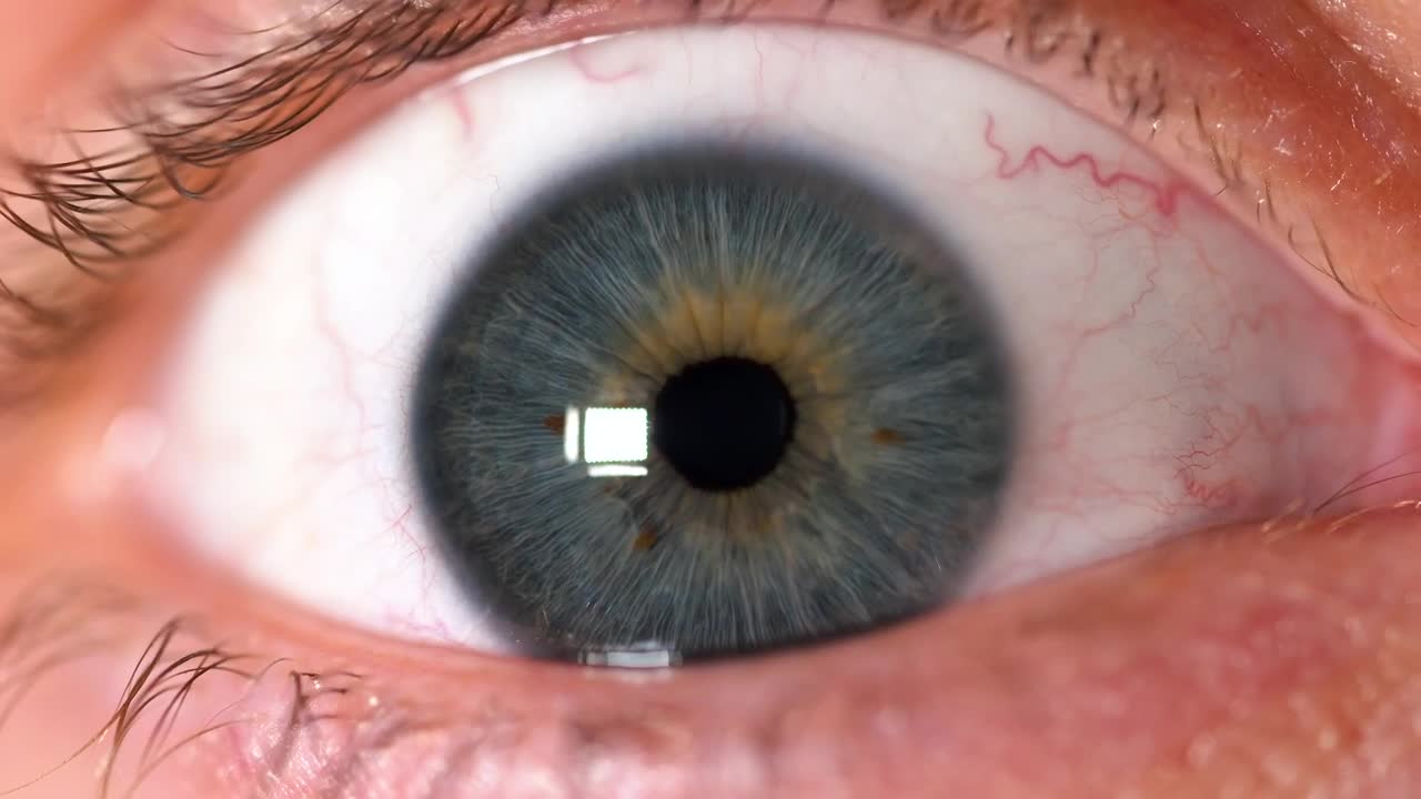 Download Stock Video Human Eye Focusing In Animated Wallpaper