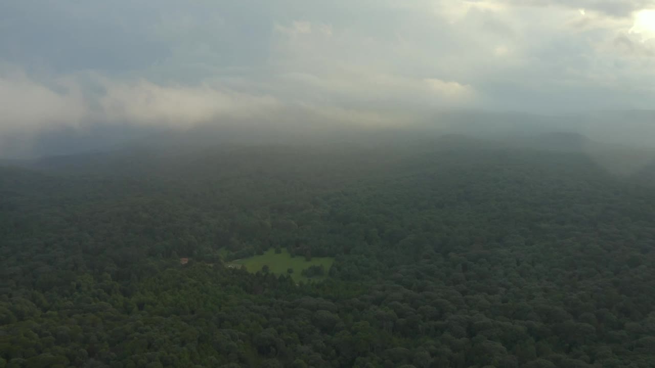 Download Stock Video Huge Forest Seen From The Heights During A Cloudy Day Animated Wallpaper