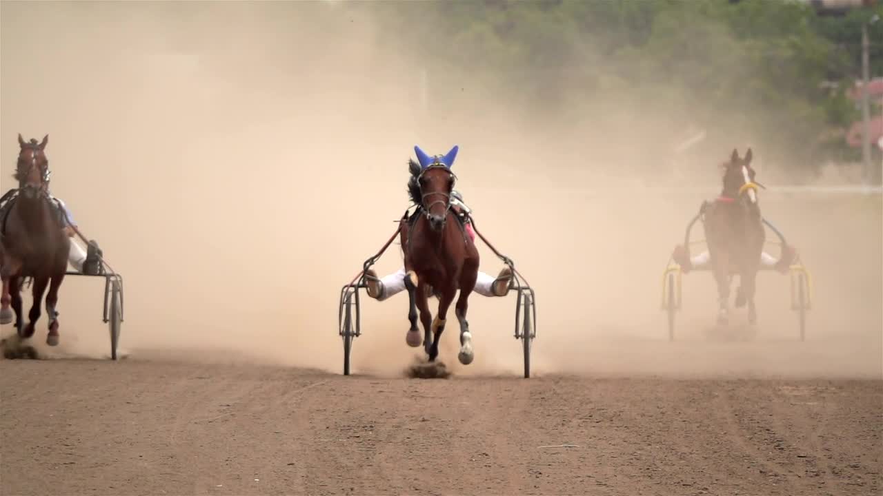 Download Stock Video Horse Race On A Dirt Road Animated Wallpaper