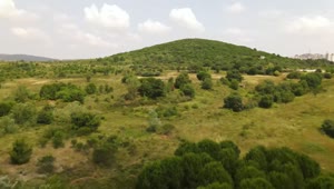 Download Stock Video Hill Covered With Trees And Vegetation From Above Animated Wallpaper