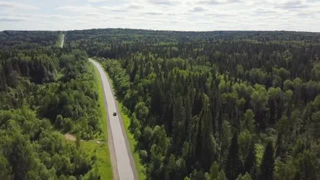 Download Stock Video Highway Through A Large Forest Smal Animated Wallpaper