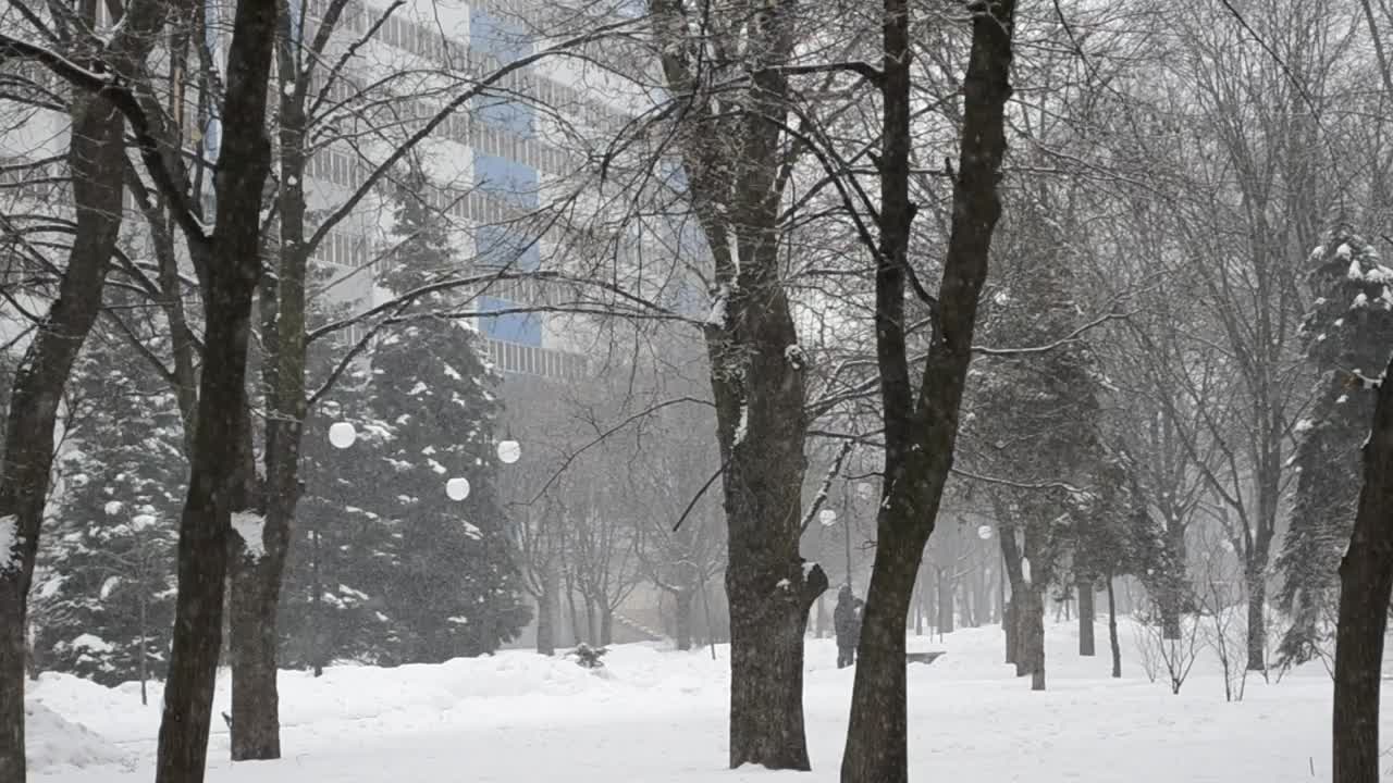 Download Stock Video Heavy Snowfall In A City Park Animated Wallpaper