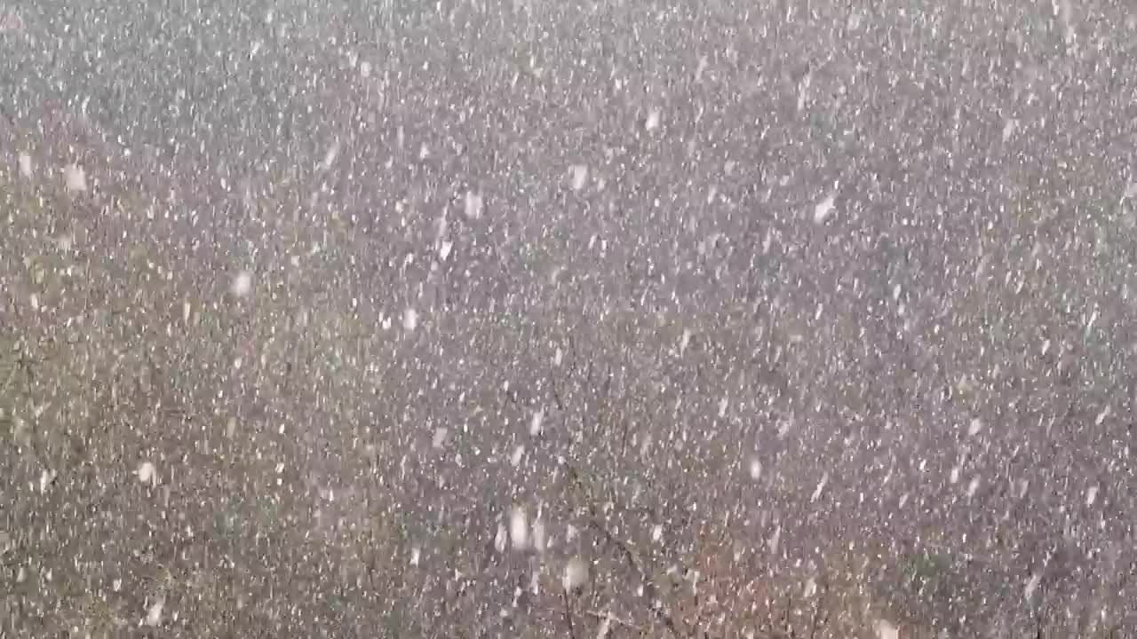 Stock Video Heavy Snow Falling Across The Landscape Animated Wallpaper ...