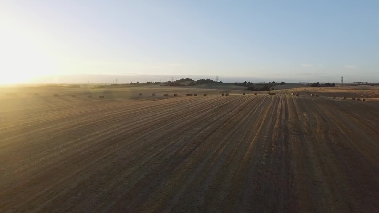 Download Stock Video Hay Bales Across A Field Animated Wallpaper