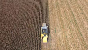 Download Stock Video Harvesting The Crops With A Machine Animated Wallpaper