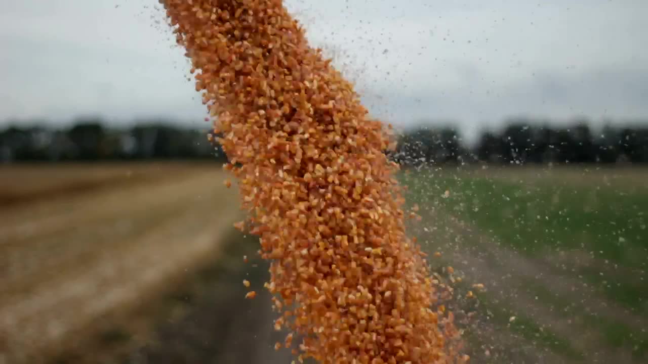 Download Stock Video Harvester Unloading Crops Animated Wallpaper