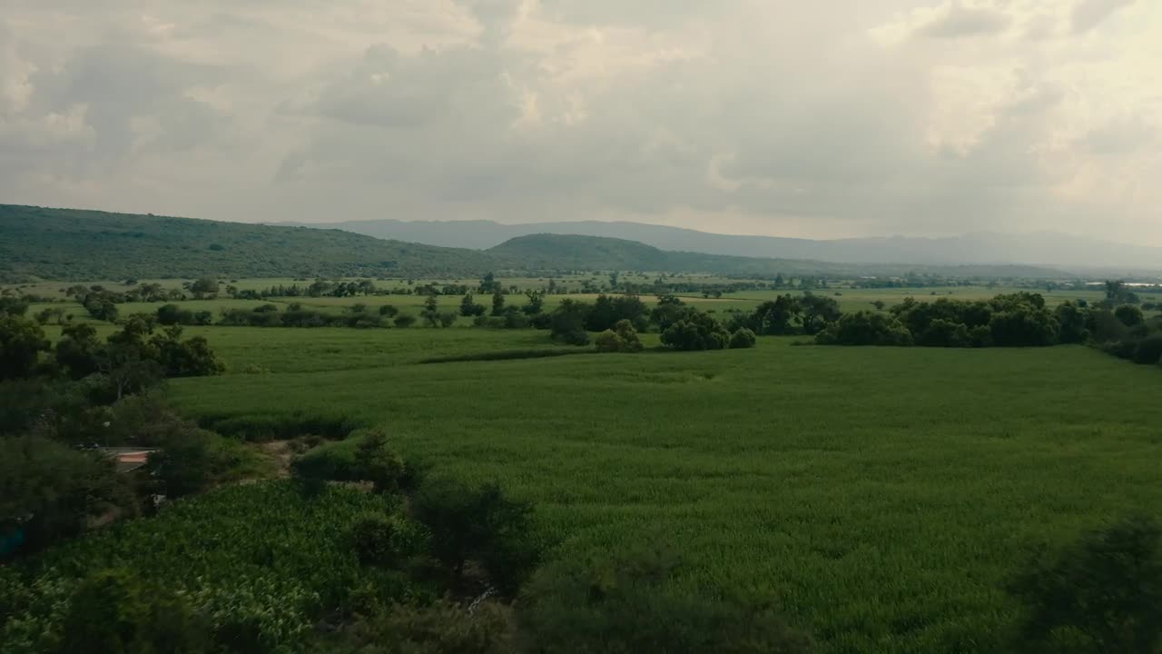 Download Stock Video Harvest Fields On A Cloudy Day Animated Wallpaper