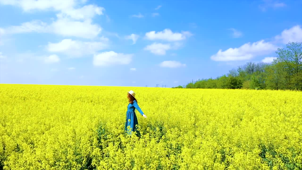 Download Stock Video Happy Woman Spinning On A Flower Field Animated Wallpaper