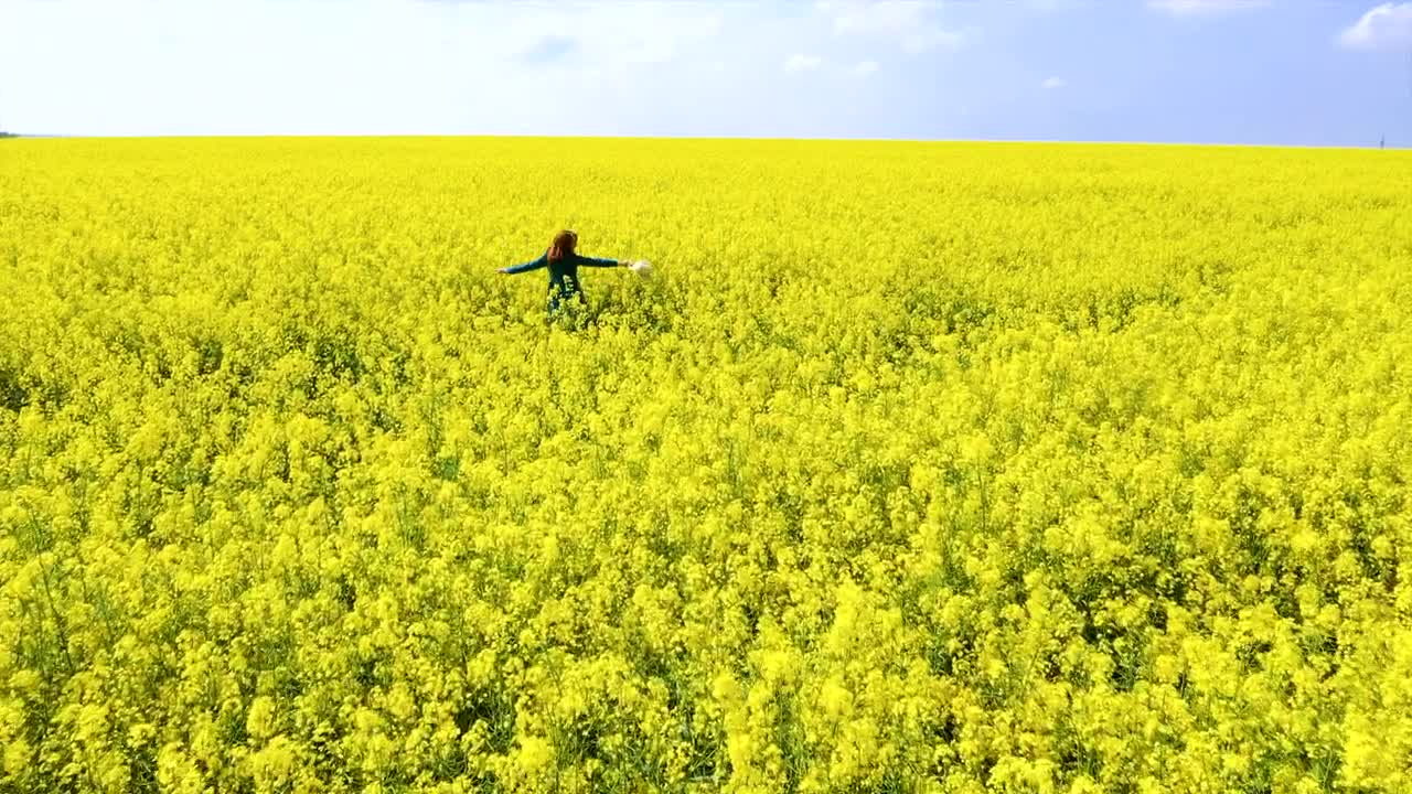 Download Stock Video Happy Woman On A Rapeseed Field Animated Wallpaper