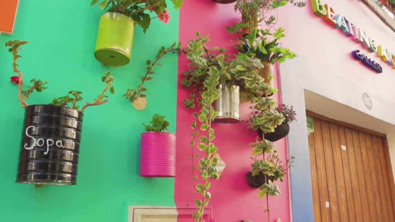 Download Stock Video Hanging Flowerpots In The Facade Animated Wallpaper