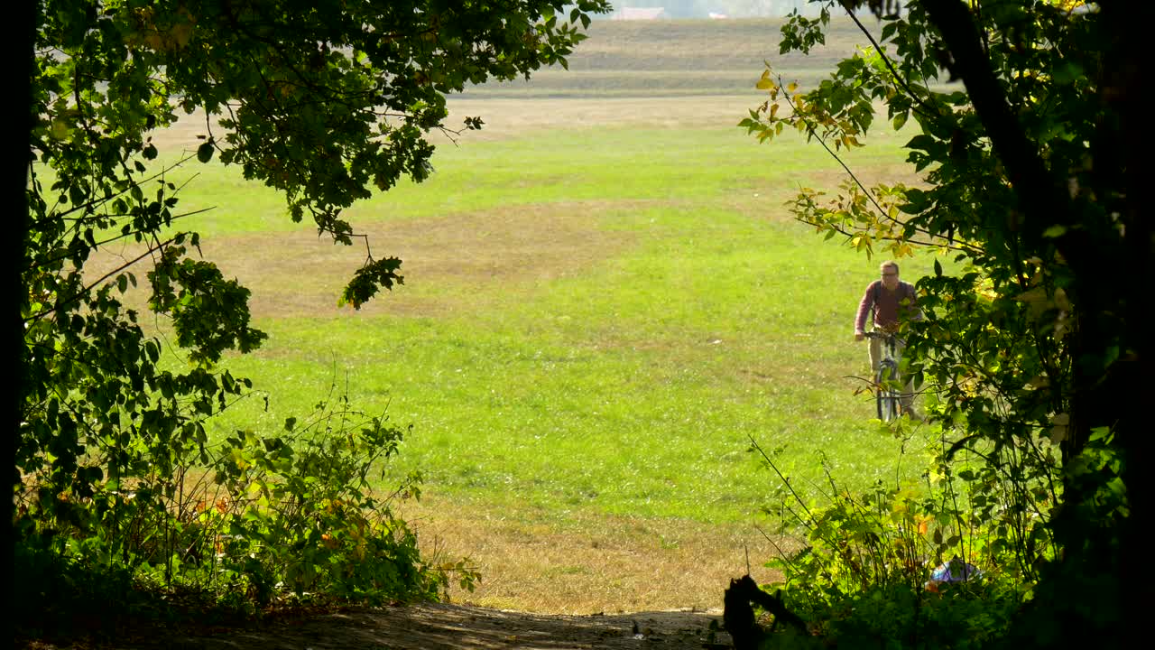 Download Stock Video Man In His Bicycle Entering The Woods Animated Wallpaper