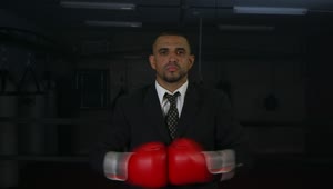 Download Stock Video Man In A Suit Wearing Red Boxing Gloves Animated Wallpaper