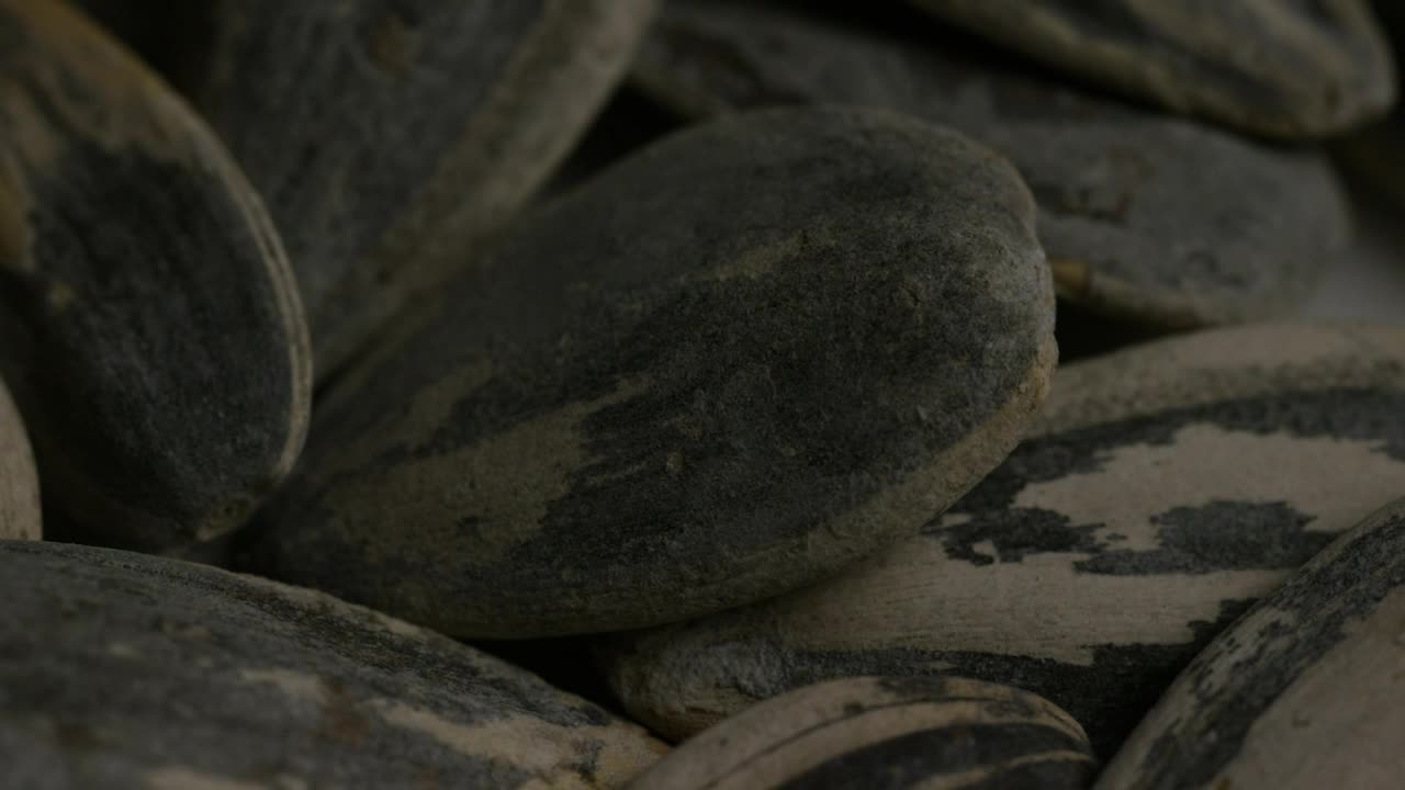 Download Stock Video Macro Shot Of Sunflower Seeds Animated Wallpaper