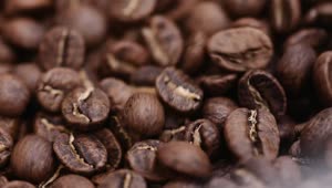 Download Stock Video Macro Shot Of Roasted Coffee Beans Moving Animated Wallpaper