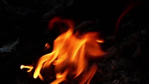 Download Stock Video Logs Burning In A Campfire Animated Wallpaper