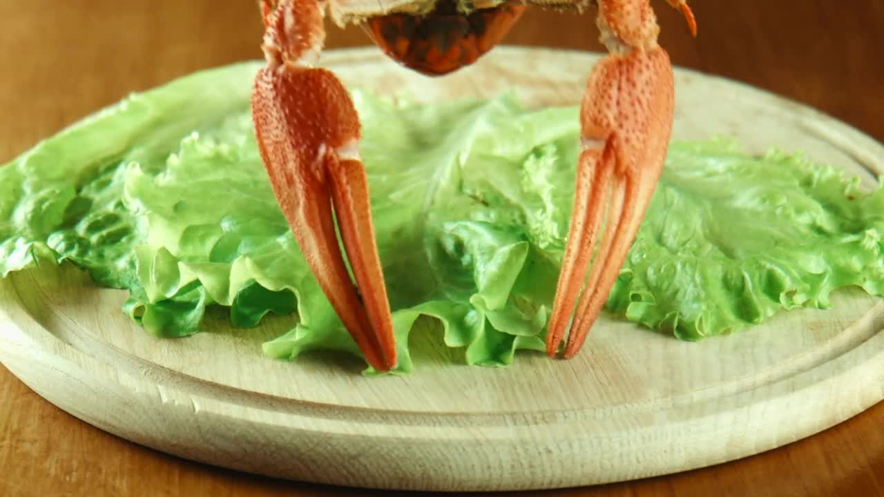 Download Stock Video Lobsters On A Lettuce Bed Animated Wallpaper