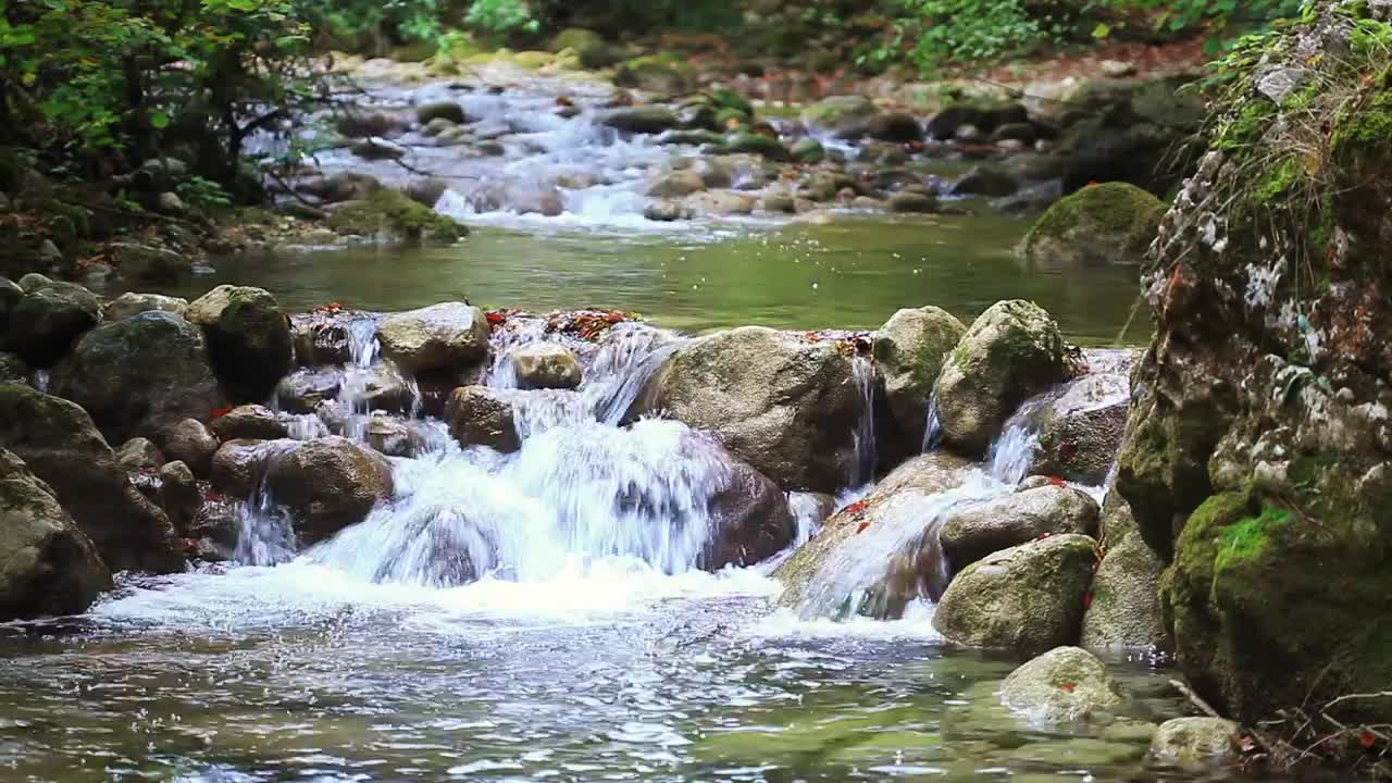 Download Stock Video Little Rocky River In The Woods Animated Wallpaper