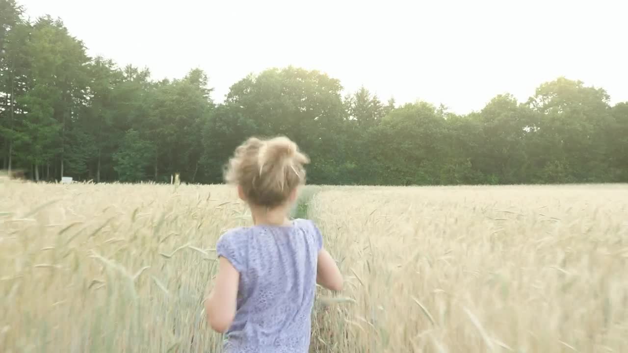 Download Stock Video Little Girl Running Through A Wheat Field Animated Wallpaper