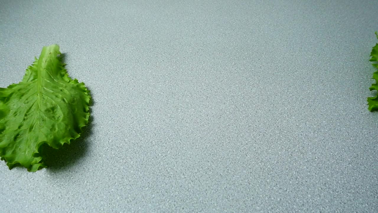 Download Stock Video Lettuce Leaves Entering The Shot Animated Wallpaper