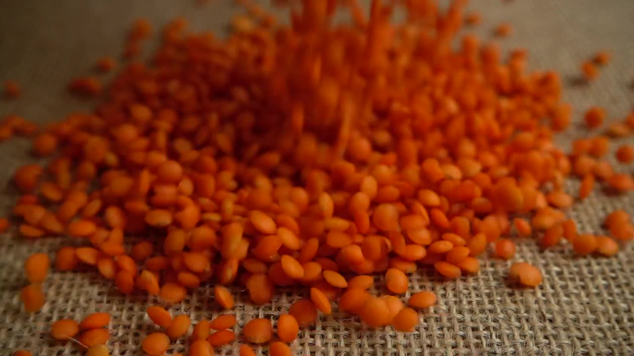 Download Stock Video Lentil Harvest Animated Wallpaper